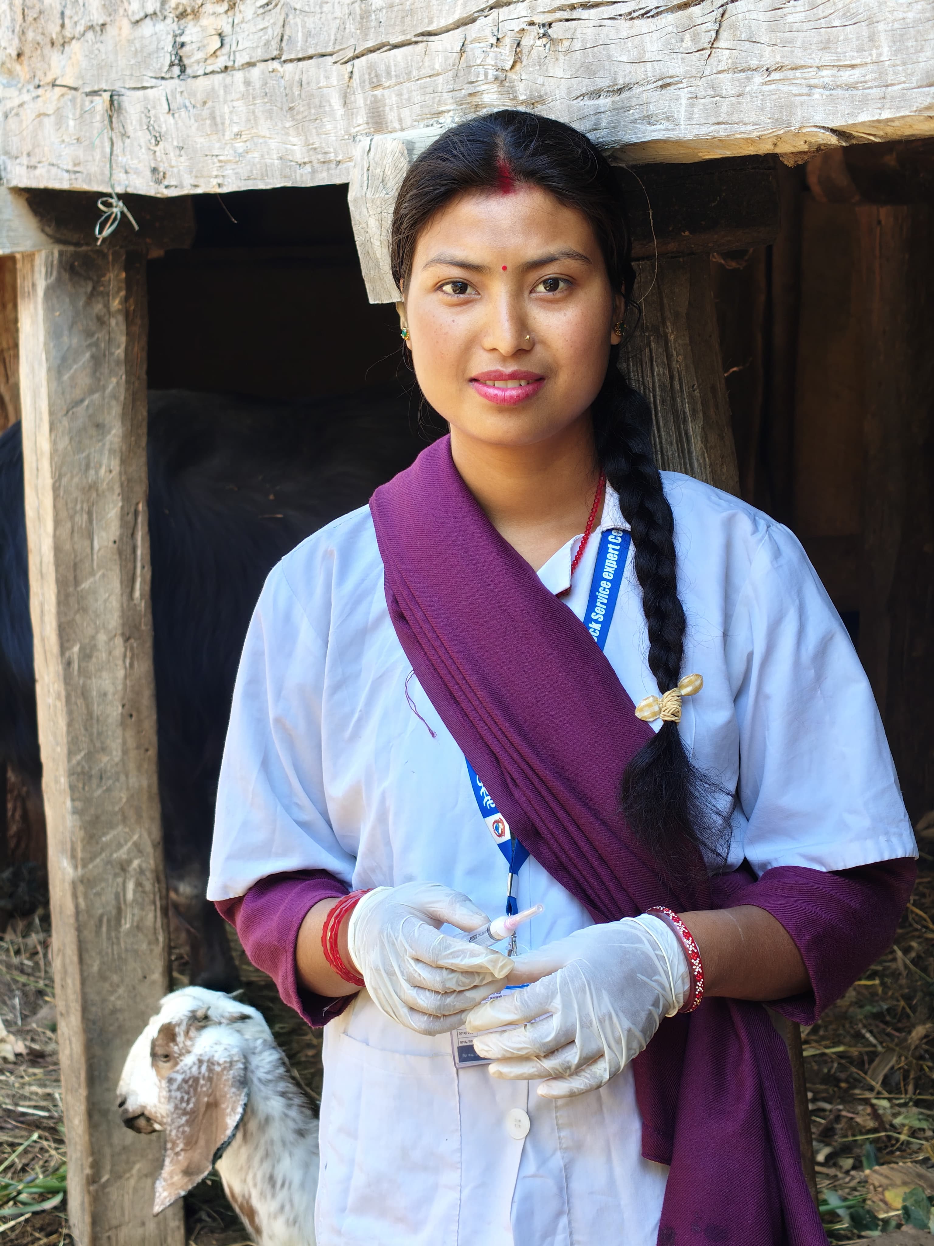 Mina Kumari Chaudhari wearing gloves and preparing a vaccination beside a goat